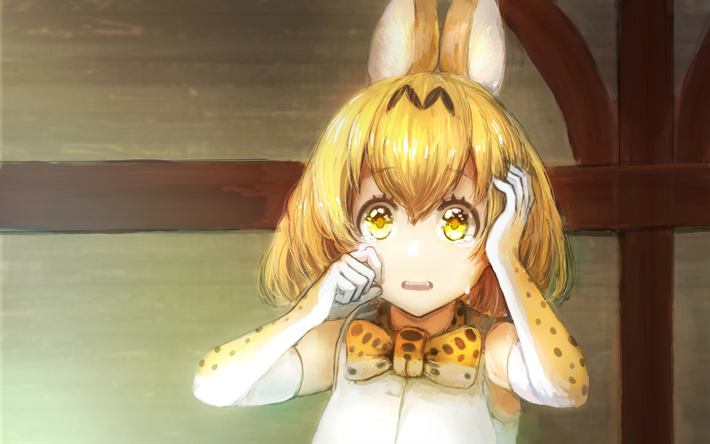 serval, manga, grafik, suchen kemono freunde