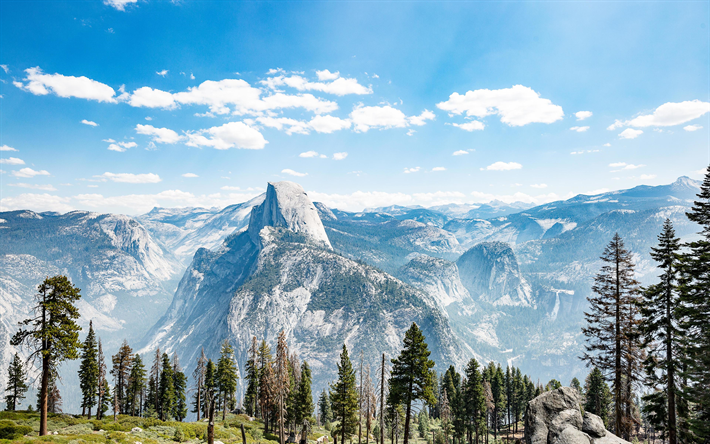 4k, Yosemite Ulusal Park, yaz, orman, dağlar, Sierra Nevada, ABD, Amerika