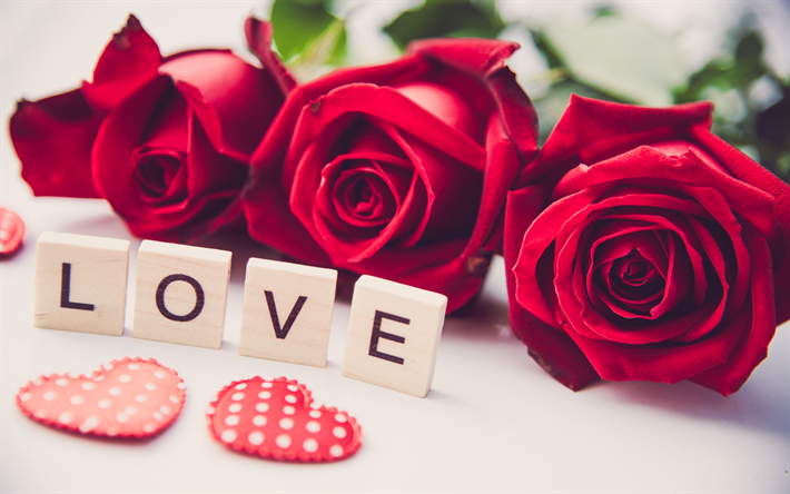el amor conceptos, rosas rojas, flores rojas, rosas, cubos de madera