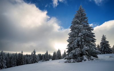 l&#39;hiver, la neige, les montagnes, ciel, nuages, paysage d&#39;hiver