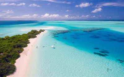 Maldiverna, tropiska &#246;ar, beach, sommar, resor, palmer, sand, ocean, semester