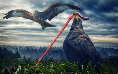 aquila reale, il corvo imperiale, l&#39;arte, i predatori, caccia