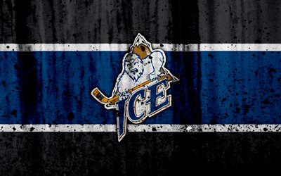Kootenay Ice, 4k, grunge, WHL, j&#228;&#228;kiekko, art, Kanada, logo, kivi rakenne, Western Hockey League