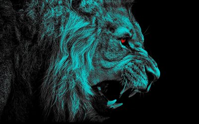 lion, darkness, art, black background