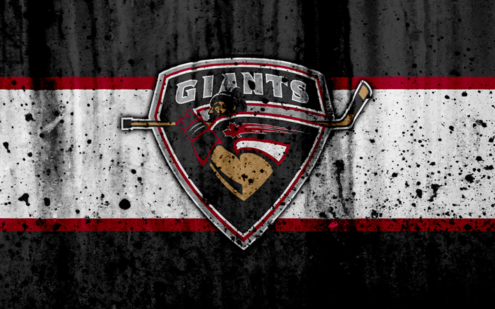 Vancouver Giants, 4k, WHL, hokey, grunge, Kanada, logo, taş doku, sanat, Batı Hokey Ligi