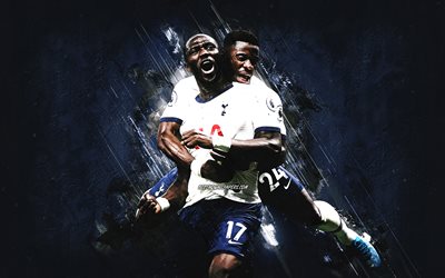 Moussa Sissoko, Serge Aurier, Tottenham Hotspur FC, blue stone background, Premier League, England, football