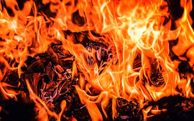 4k, fire textures, burning backgrounds, fireplace, bonfire, fire flames, orange fire texture, fire backgrounds