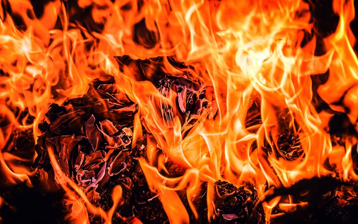 4k, fogo texturas, a queima de fundos, lareira, fogueira, chamas de fogo, laranja fogo textura, fogo fundos