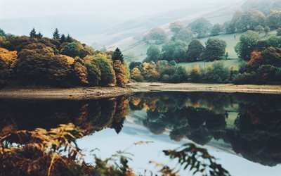 oto&#241;o, lago, paisaje, bosque, &#225;rboles