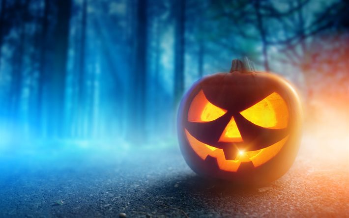 Halloween, pumpkin, scary face, forest, fog