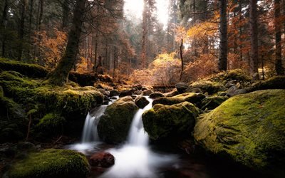 waterfall, autumn, forest, river, autumn landscape, evening