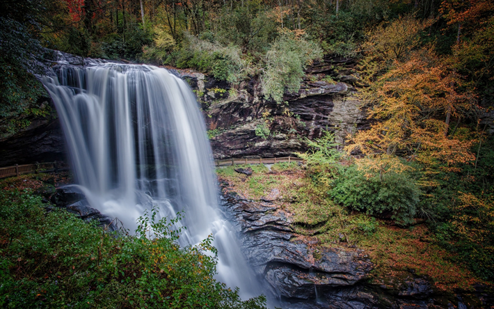 cachoeira, outono, amarelo &#225;rvores, floresta, folhas amarelas, rio de montanha