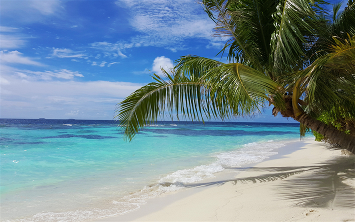 Maldives, isola tropicale, spiaggia, palme, oceano, sabbia bianca, l&#39;estate