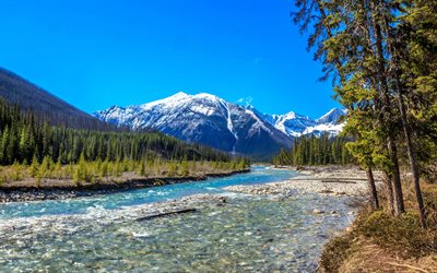 Montagne Rocciose canadesi, Vermiglio Fiume, fiume di montagna, mattina, primavera, paesaggio di montagna, British Columbia, Canada