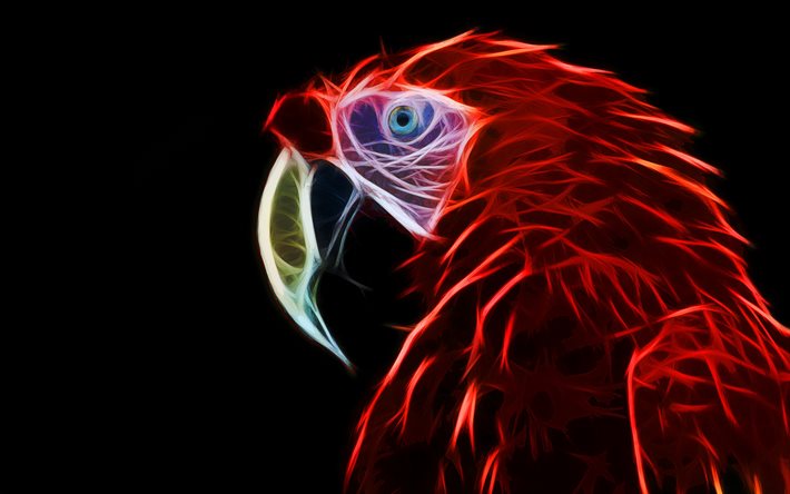 parrot silhouette, red macaw, fractals, Scarlet macaw, red macaw silhouette, drawings of parrots