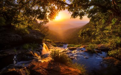 Toolona Creek, soir, coucher de soleil, cascade, Morans Falls, vallée, Queensland, Australie, Lamington National Park