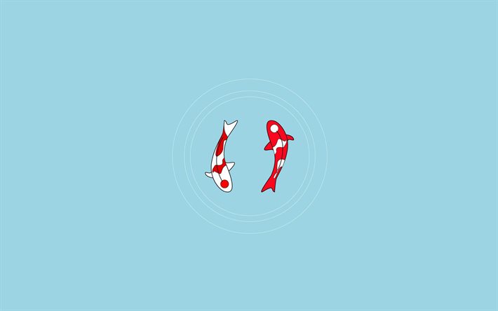 Koi carps, minimal, creative, red fishes, Koi-san, Koi minimalism, blue backgrounds