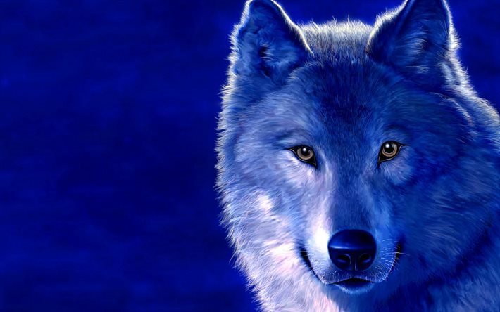 painted wolf, neon wolf, predator, wolf