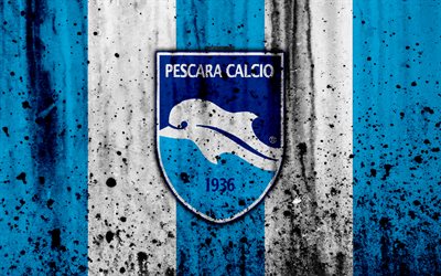 Delfino, 4k, grunge, Serie B, futbol, İtalya, FC Delfino, taş doku, Futbol Kul&#252;b&#252;, Delfino FC