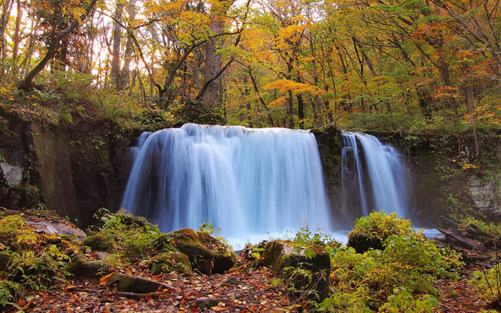 秋, 滝, 森林, 黄色の紅葉, 湖, 秋の滝