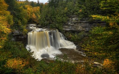 waterfall, autumn, mountain river, forest, yellow trees, beautiful waterfalls