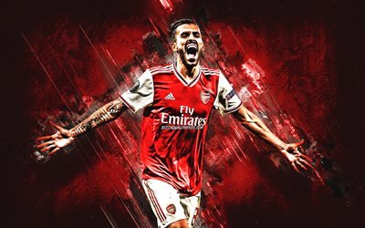 Dani Ceballos, Spanish footballer, Arsenal FC, portrait, red stone background, midfielder, Premier League, England, football