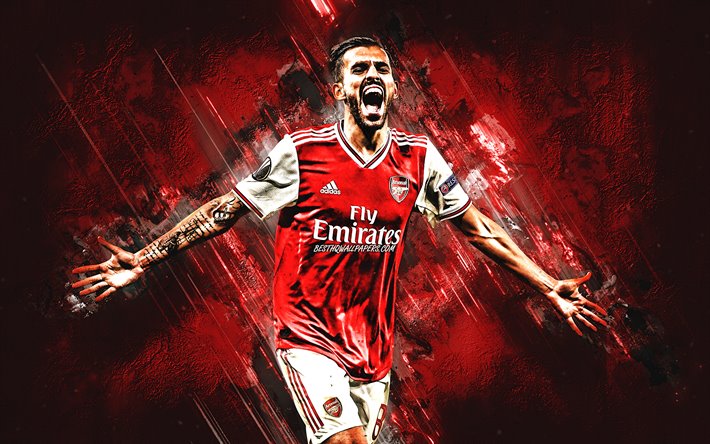 Dani Ceballos, calciatore spagnolo, Arsenal FC, ritratto, rosso pietra sfondo, centrocampista, Premier League, Inghilterra, calcio