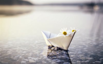 paper boat with chamomile, travel concepts, stones, chamomile, evening, sunset, mood