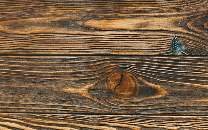 texture bois marron, macro, motifs en bois horizontaux, planches de bois, planches en bois marron, fonds en bois, arri&#232;re-plans marron, textures en bois