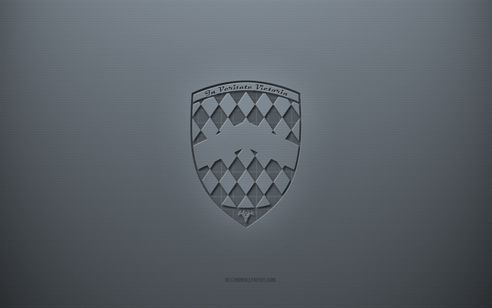 Logotipo SSC, fundo cinza criativo, emblema SSC, textura de papel cinza, SSC, fundo cinza, logotipo SSC 3D