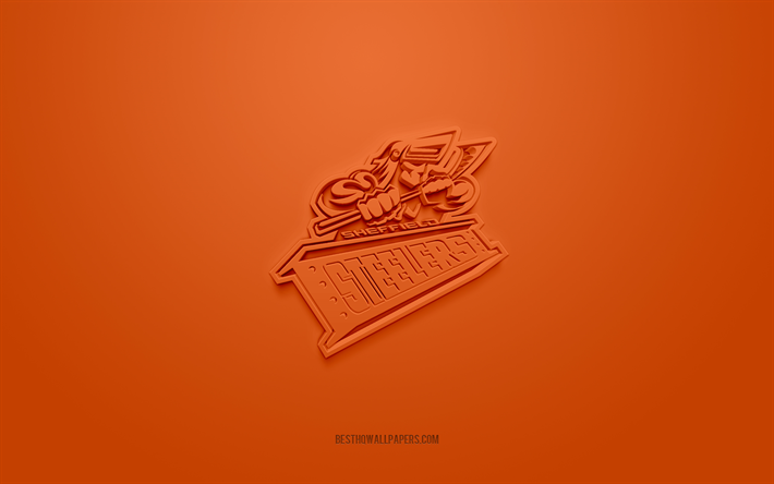 شيفيلد ستيلرز, شعار 3D الإبداعية, خلفية برتقالية, دوري الهوكي, 3d شعار, نادي الهوكي الانجليزي, شفيلد, إنجلترا, فن ثلاثي الأبعاد, الهوكي, شعار شيفيلد ستيلرز ثلاثي الأبعاد