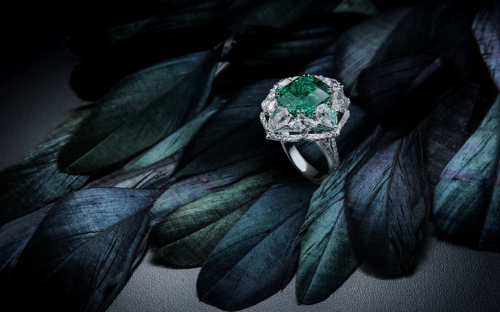 smaragd, ring, schmuck, edelstein, schwarze federn, wei&#223;-gold