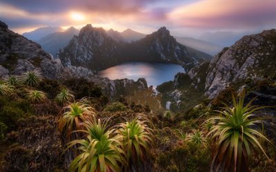 Sj&#246;n Oberon, mountain lake, sunset, kv&#228;ll, bergslandskapet, stenar, Tasmanien, Australien