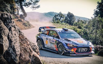 Hyundai Santa Fe gls WRC, 2017, ralli, yarış arabaları, tuning, Hyundai Santa Fe gls, Thierry Neuville, WRC