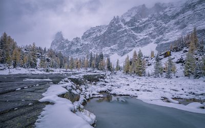 fiume di montagna, invernali, neve, rocce, paesaggio di montagna, nebbia, Yoho National Park, Canada