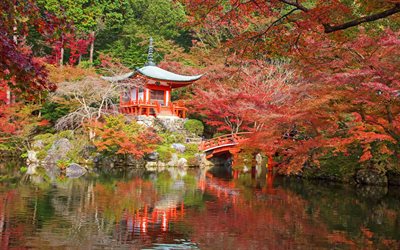 Kyoto, Japan, Japanese architecture, forest, mountains, autumn, Japanese arbor
