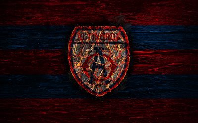 Altinordu FC, fogo logotipo, Turco 1 Lig, vermelho e azul linhas, turco futebol clube, grunge, TFF Primeira Liga, Altinordu FK, futebol, Altinordu logotipo, textura de madeira, A turquia
