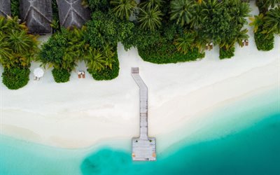 Maldivas, aero vista, costa, vista de cima, palmeiras, oceano, areia branca