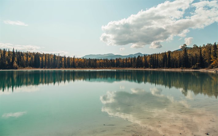 lago di montagna, paesaggio di montagna, la calma e la bellezza del paesaggio, autunno, foresta, USA