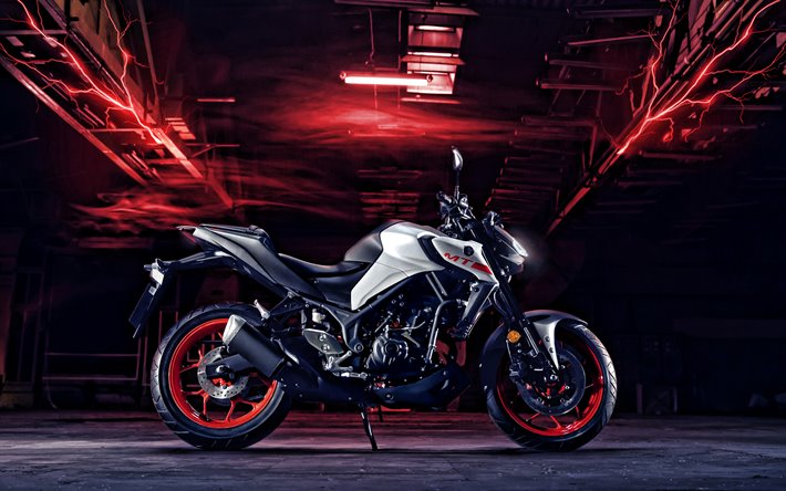 En 2020, la Yamaha MT-03, vue de c&#244;t&#233;, &#224; l&#39;ext&#233;rieur, de nouvelles gris-blanc MT-03, japonais de motos, Yamaha