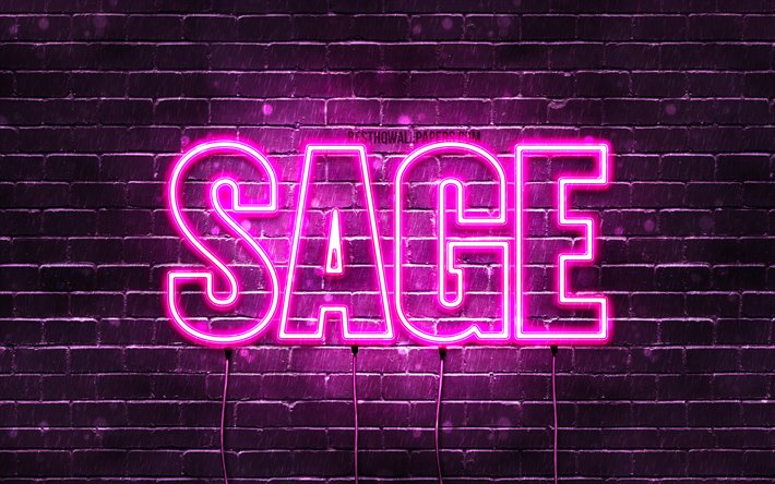 Sage, 4k, wallpapers with names, female names, Sage name, purple neon lights, horizontal text, picture with Sage name