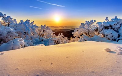 Ne Deogyusan Ulusal Parkı, kış, G&#252;n batımı, snowdrifts, G&#252;ney Kore, Asya, g&#252;zel bir doğa, Deogyusan, Jeollabuk-Togyusan