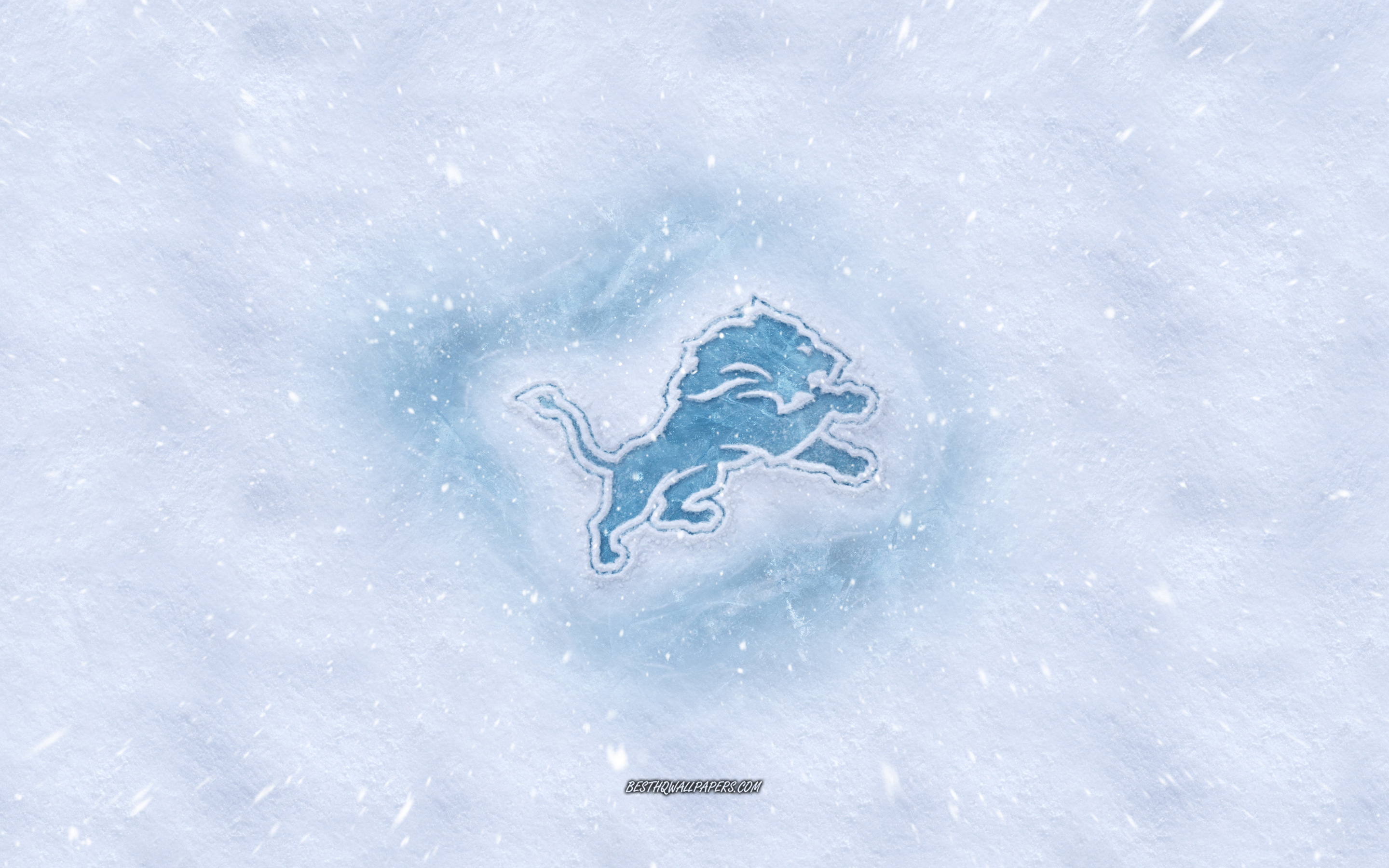 Download Wallpapers Detroit Lions Logo American Football Club Winter