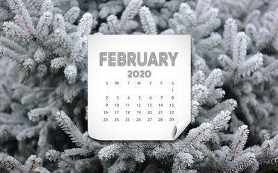 February 2020 Calendar, winter background, 2020 concepts, 2020 calendars, February, tree