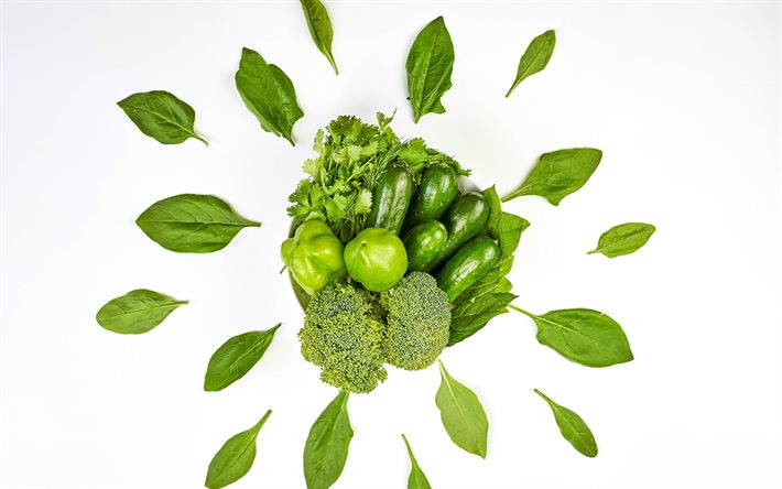 vegetais verdes, pepinos, br&#243;colis, vegetais em fundo branco, alimentos saud&#225;veis, conceitos de dieta