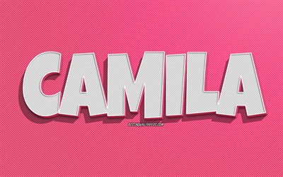 Camila, fond de lignes roses, fonds d&#39;&#233;cran avec des noms, nom de Camila, noms f&#233;minins, carte de voeux Camila, dessin au trait, photo avec le nom de Camila