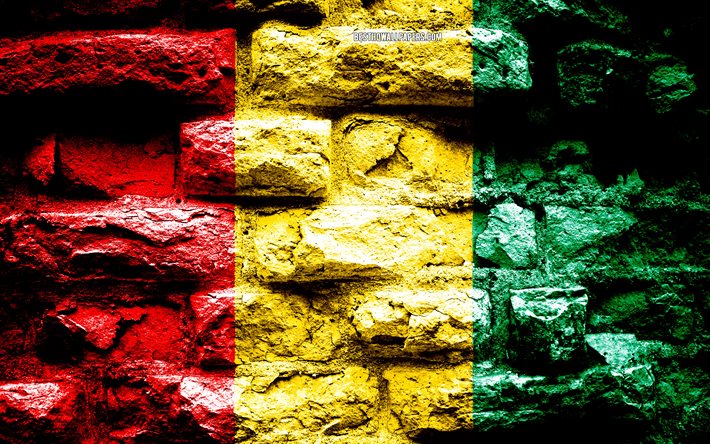 غينيا العلم, الجرونج الطوب الملمس, علم غينيا, علم على جدار من الطوب, غينيا, أعلام الدول الأفريقية