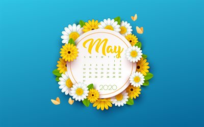2020 Mai Calendrier, fond bleu avec des fleurs, printemps, fond bleu, 2020 printemps calendriers, Mai, fleurs de printemps fond, en Mai 2020 Calendrier