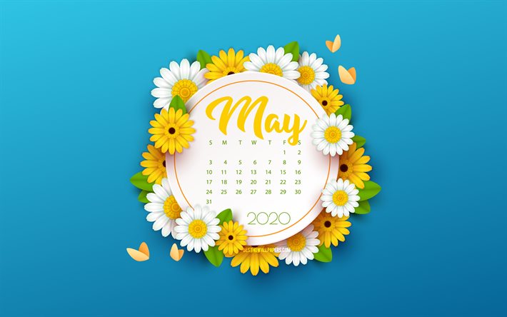 2020 May Calendar, blue background with flowers, spring blue background, 2020 spring calendars, May, flowers spring background, May 2020 Calendar