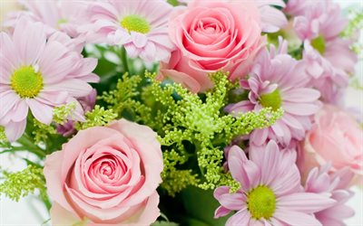 rosas cor-de-rosa, fundo com rosas, flores cor de rosa, rosas, um buqu&#234; de rosas e cris&#226;ntemos